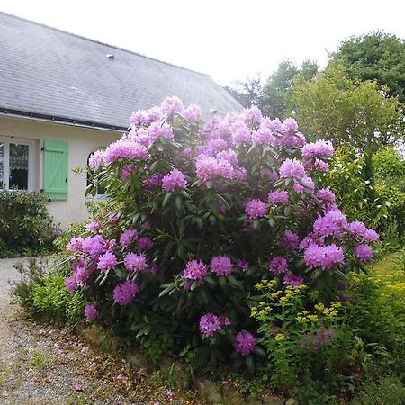 Bed and Breakfast Le Pre De La Lande La Chapelle-Sur-Erdre Exterior foto