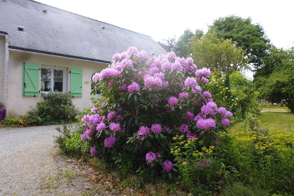 Bed and Breakfast Le Pre De La Lande La Chapelle-Sur-Erdre Exterior foto